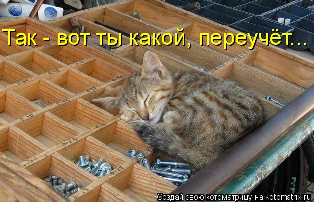 Так - вот ты какой, переучёт...... Котоматрица: Так - вот ты какой, переучёт...