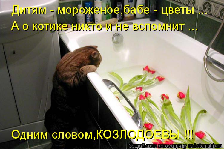 Дитям - мороженое,бабе - цветы ... А о котике никто и не вспомнит ... Одним словом,КОЗЛОДОЕВЫ !!!... Котоматрица: Дитям - мороженое,бабе - цветы ... А о котике никто и не вспомнит ... Одним словом,КОЗЛОДОЕВЫ !!!