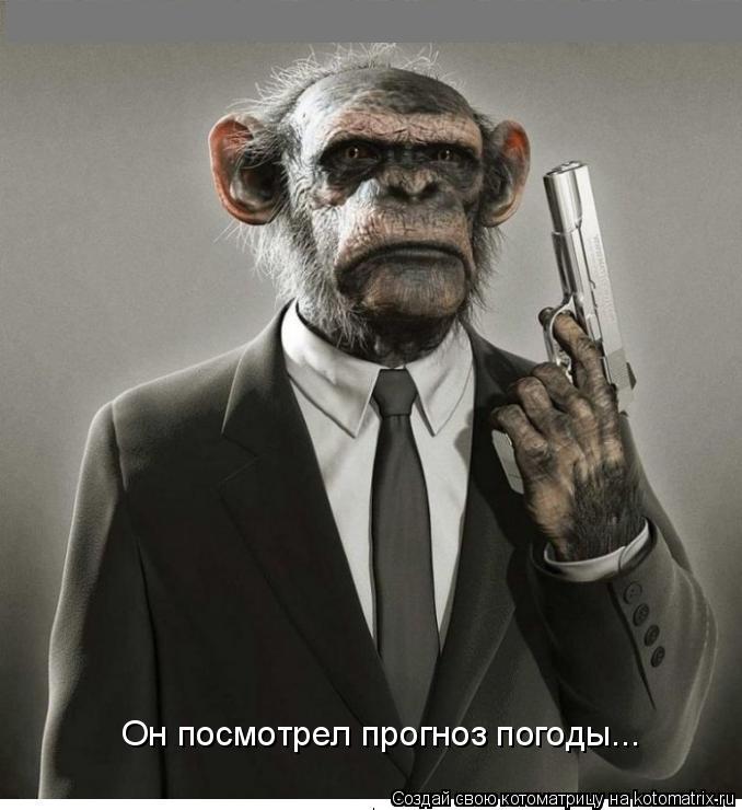 Он посмотрел прогноз погоды...... Котоматрица: Он посмотрел прогноз погоды...