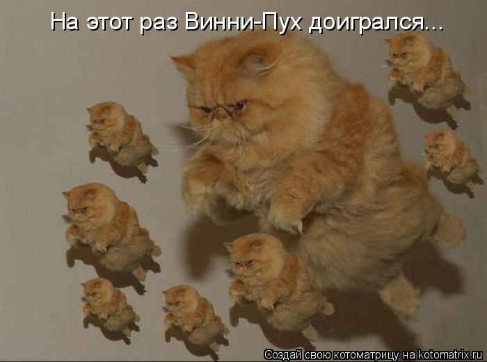 На этот раз Винни-Пух доигрался...... Котоматрица: На этот раз Винни-Пух доигрался...