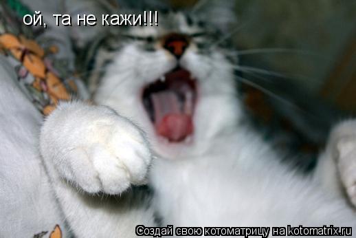 ой, та не кажи!!!... Котоматрица: ой, та не кажи!!!