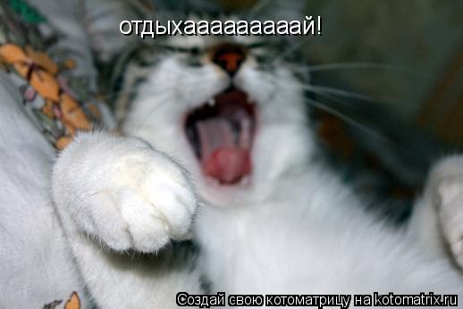 отдыхааааааааай!... Котоматрица: отдыхааааааааай!