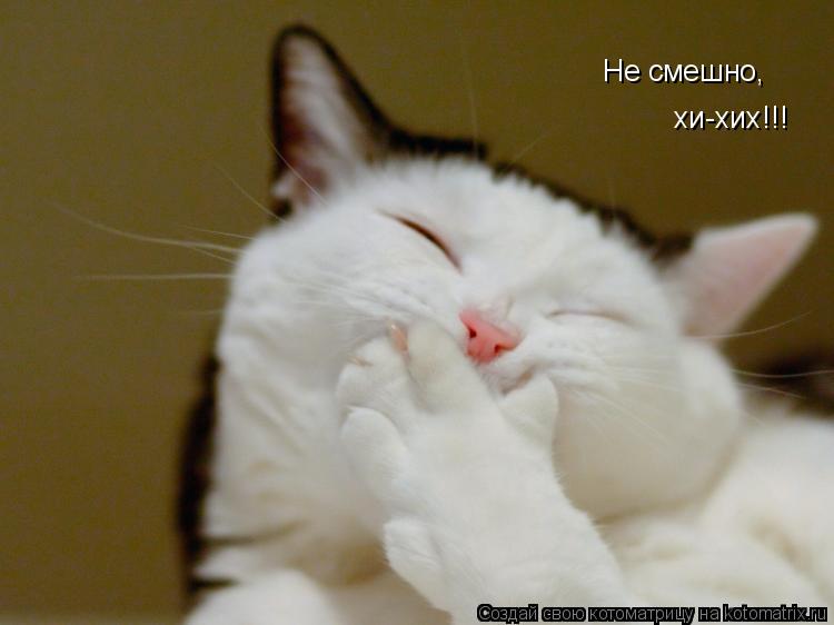 хи-хих!!! Не смешно,... Котоматрица: хи-хих!!! Не смешно,