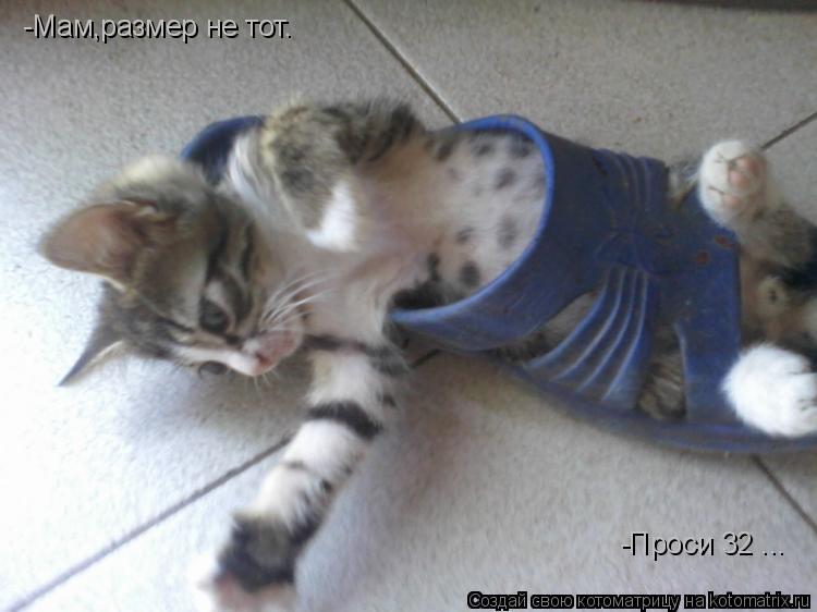 -Мам,размер не тот. -Проси 32 ...... Котоматрица: -Мам,размер не тот. -Проси 32 ...