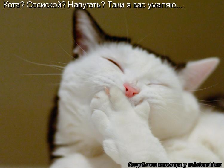 Кота? Сосиской? Напугать? Таки я вас умаляю....... Котоматрица: Кота? Сосиской? Напугать? Таки я вас умаляю....