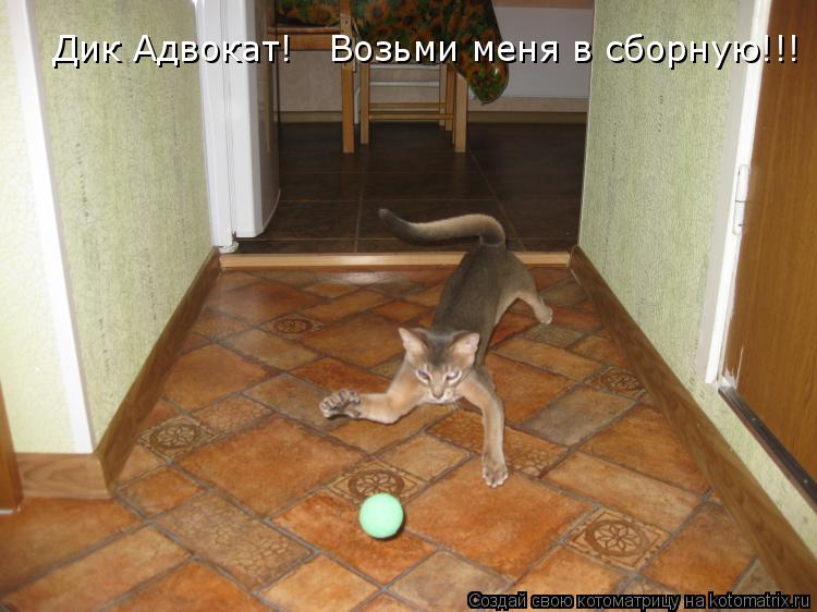 Дик Адвокат! Возьми меня в сборную!!!... Котоматрица: Дик Адвокат! Возьми меня в сборную!!!