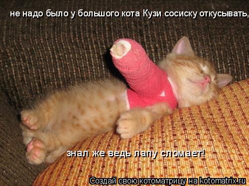 не надо было у большого кота Кузи сосиску откусывать, знал же ведь лапу сломает!... Котоматрица: не надо было у большого кота Кузи сосиску откусывать, знал же ведь лапу сломает!
