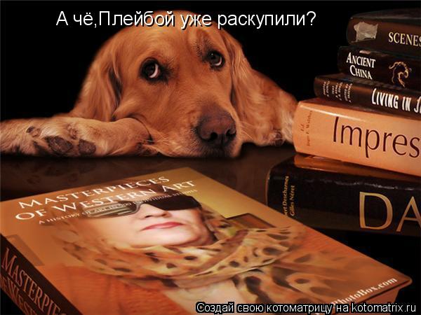 А чё,Плейбой уже раскупили?... Котоматрица: А чё,Плейбой уже раскупили?