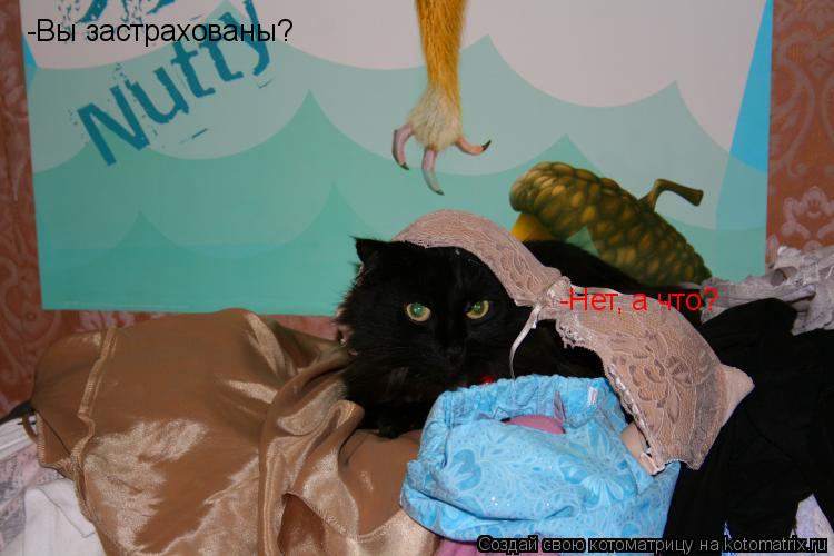 -Вы застрахованы? -Нет, а что?... Котоматрица: -Вы застрахованы? -Нет, а что?