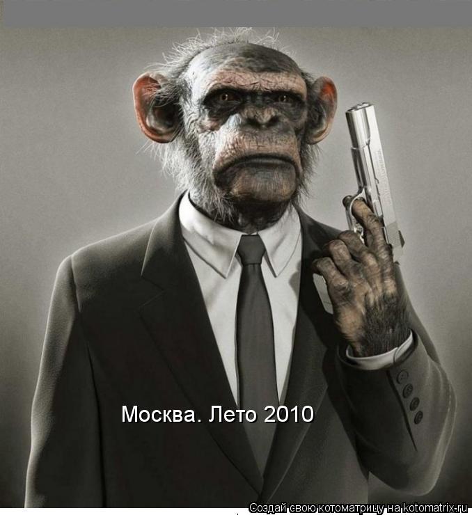 Москва. Лето 2010... Котоматрица: Москва. Лето 2010