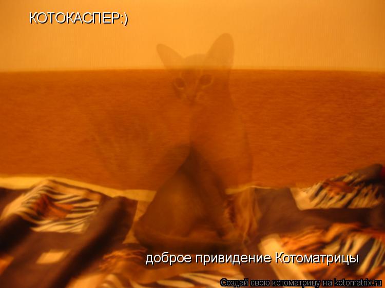КОТОКАСПЕР:) КОТОКАСПЕР:) доброе привидение Котоматрицы... Котоматрица: КОТОКАСПЕР:) КОТОКАСПЕР:) доброе привидение Котоматрицы