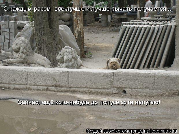 С каждым разом, всё лучше и лучше рычать получается... Сейчас, ещё кого-нибудь до полусмерти напугаю!... Котоматрица: С каждым разом, всё лучше и лучше рычать получается... Сейчас, ещё кого-нибудь до полусмерти напугаю!