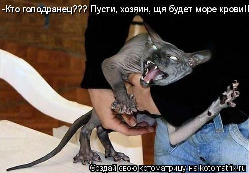 Котоматрица: -Кто голодранец??? Пусти, хозяин, щя будет море крови!!!