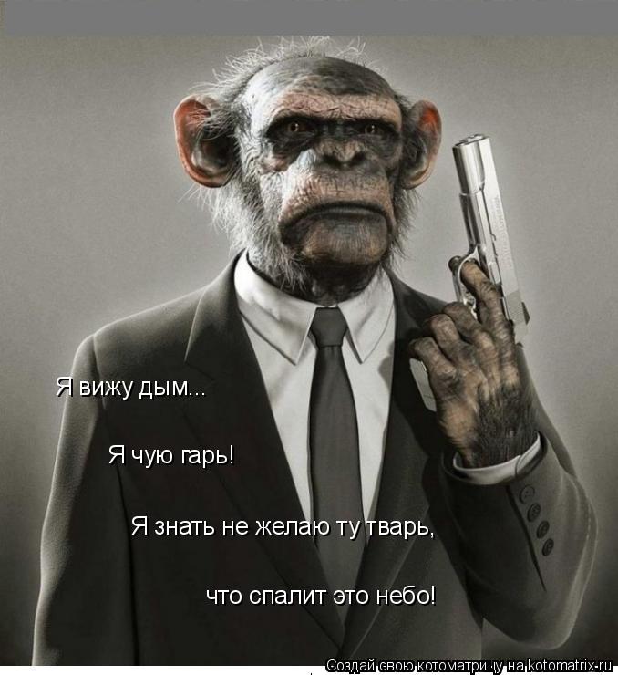 Я вижу дым... Я чую гарь! Я знать не желаю ту тварь, что спалит это небо!... Котоматрица: Я вижу дым... Я чую гарь! Я знать не желаю ту тварь, что спалит это небо!