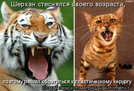 Шерхан стеснялся своего возраста, поэтому решил обратиться к пластическому хирургу... Котоматрица: Шерхан стеснялся своего возраста, поэтому решил обратиться к пластическому хирургу