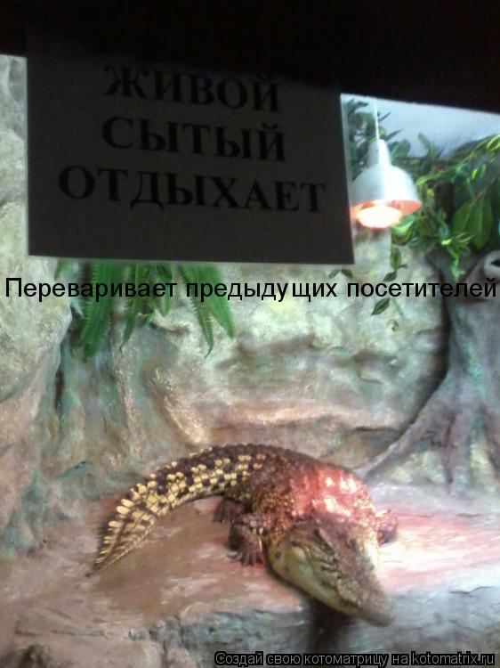 Переваривает предыдущих посетителей... Котоматрица: Переваривает предыдущих посетителей