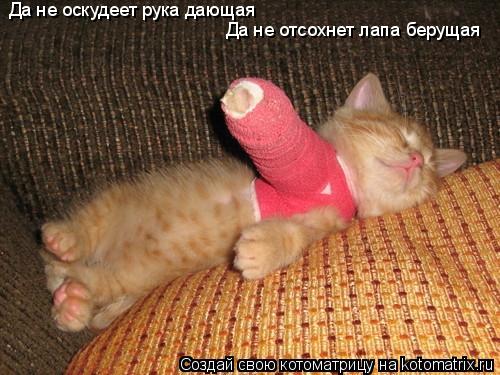 Да не оскудеет рука дающая Да не отсохнет лапа берущая... Котоматрица: Да не оскудеет рука дающая Да не отсохнет лапа берущая