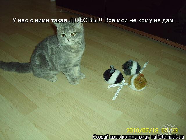 У нас с ними такая ЛЮБОВЬ!!! Все мои.не кому не дам... У нас с ними такая ЛЮБОВЬ!!! Все мои.не кому н... Котоматрица: У нас с ними такая ЛЮБОВЬ!!! Все мои.не кому не дам... У нас с ними такая ЛЮБОВЬ!!! Все мои.не кому не дам...
