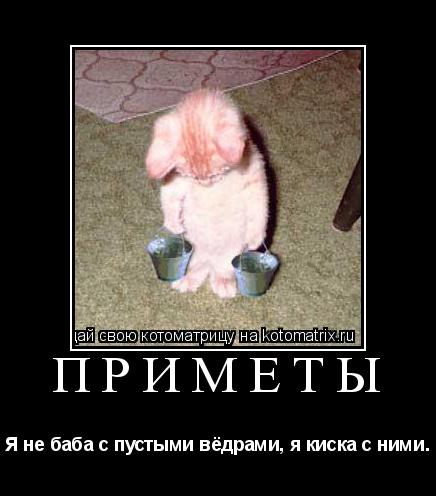 ПРИМЕТЫ Я не баба с пустыми вёдрами, я киска с ними.... Котоматрица: ПРИМЕТЫ Я не баба с пустыми вёдрами, я киска с ними.