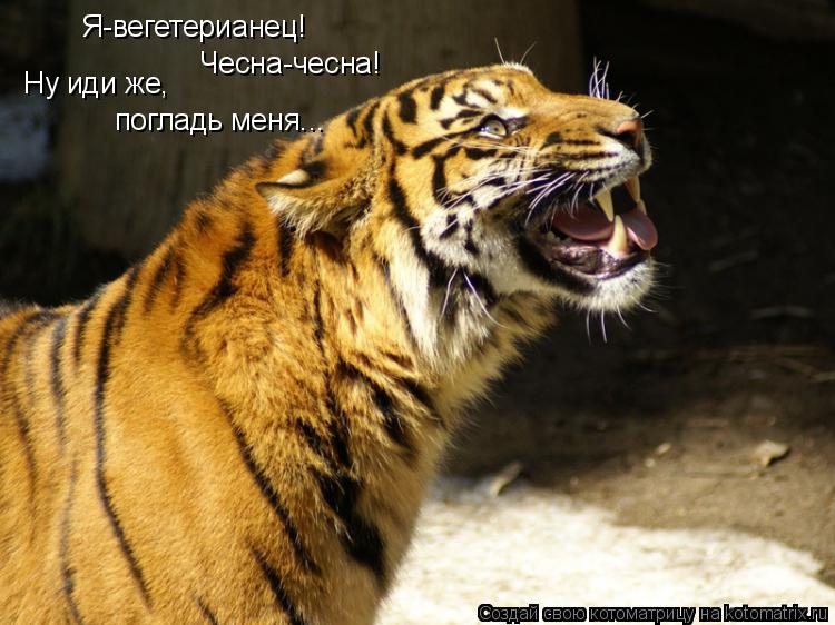 Я-вегетерианец! Чесна-чесна! Ну иди же, погладь меня...... Котоматрица: Я-вегетерианец! Чесна-чесна! Ну иди же, погладь меня...