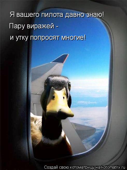 Я вашего пилота давно знаю! Пару виражей - и утку попросят многие!... Котоматрица: Я вашего пилота давно знаю! Пару виражей - и утку попросят многие!