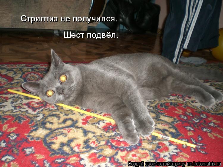 Стриптиз не получился. Шест подвёл.... Котоматрица: Стриптиз не получился. Шест подвёл.