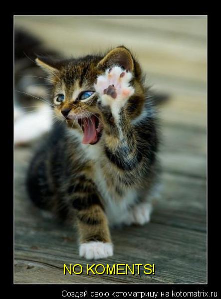 NO KOMENTS!... Котоматрица: NO KOMENTS!