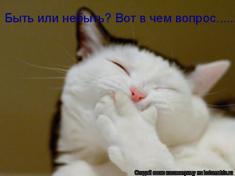 Быть или небыть? Вот в чем вопрос......... Котоматрица: Быть или небыть? Вот в чем вопрос......