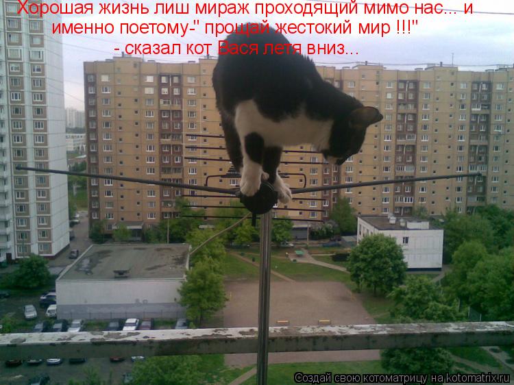 Хорошая жизнь лиш мираж проходящий мимо нас... и именно поетому " прощай жестокий мир !!!" - сказал... Котоматрица: Хорошая жизнь лиш мираж проходящий мимо нас... и именно поетому " прощай жестокий мир !!!" - сказал кот Вася летя вниз... -