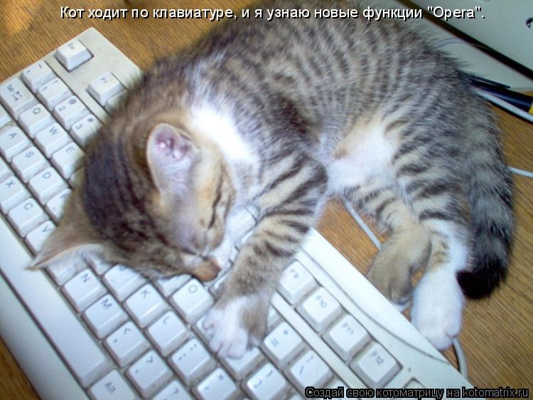 Кот ходит по клавиатуре, и я узнаю новые функции "Opera".... Котоматрица: Кот ходит по клавиатуре, и я узнаю новые функции "Opera".