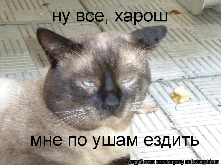 ну все, харош мне по ушам ездить... Котоматрица: ну все, харош мне по ушам ездить