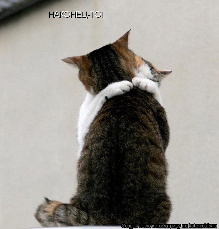 НАКОНЕЦ-ТО!... Котоматрица: НАКОНЕЦ-ТО!