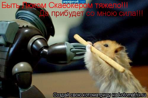 Быть Люком Скаеокером тяжело!!! Да прибудет со мною сила!!!... Котоматрица: Быть Люком Скаеокером тяжело!!! Да прибудет со мною сила!!!