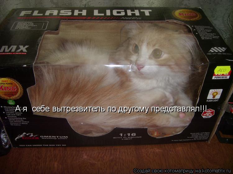 А я себе вытрезвитель по другому представлял!!!... Котоматрица: А я себе вытрезвитель по другому представлял!!!