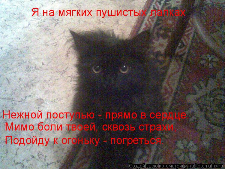 Я на мягких пушистых лапках Нежной поступью - прямо в сердце. Мимо боли твоей, сквозь страхи, П... Котоматрица: Я на мягких пушистых лапках Нежной поступью - прямо в сердце. Мимо боли твоей, сквозь страхи, Подойду к огоньку - погреться.