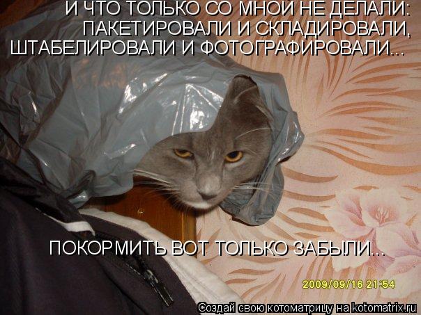 И ЧТО ТОЛЬКО СО МНОЙ НЕ ДЕЛАЛИ: ПАКЕТИРОВАЛИ И СКЛАДИРОВАЛИ, ШТАБЕЛИРОВАЛИ И ФОТОГРАФИРОВАЛИ... ПОКО... Котоматрица: И ЧТО ТОЛЬКО СО МНОЙ НЕ ДЕЛАЛИ: ПАКЕТИРОВАЛИ И СКЛАДИРОВАЛИ, ШТАБЕЛИРОВАЛИ И ФОТОГРАФИРОВАЛИ... ПОКОРМИТЬ ВОТ ТОЛЬКО ЗАБЫЛИ...