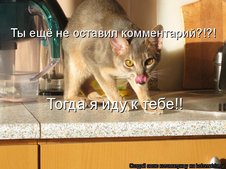 Ты ещё не оставил комментарий?!?! Тогда я иду к тебе!!... Котоматрица: Ты ещё не оставил комментарий?!?! Тогда я иду к тебе!!