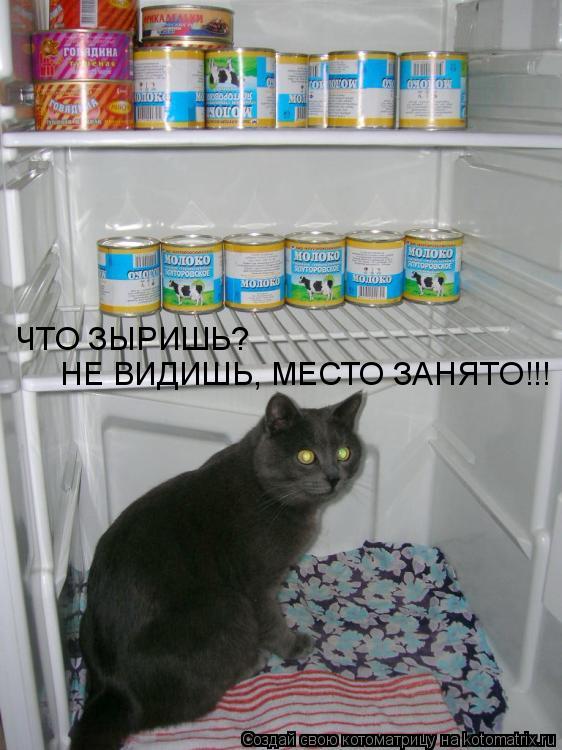 ЧТО ЗЫРИШЬ? НЕ ВИДИШЬ, МЕСТО ЗАНЯТО!!!... Котоматрица: ЧТО ЗЫРИШЬ? НЕ ВИДИШЬ, МЕСТО ЗАНЯТО!!!