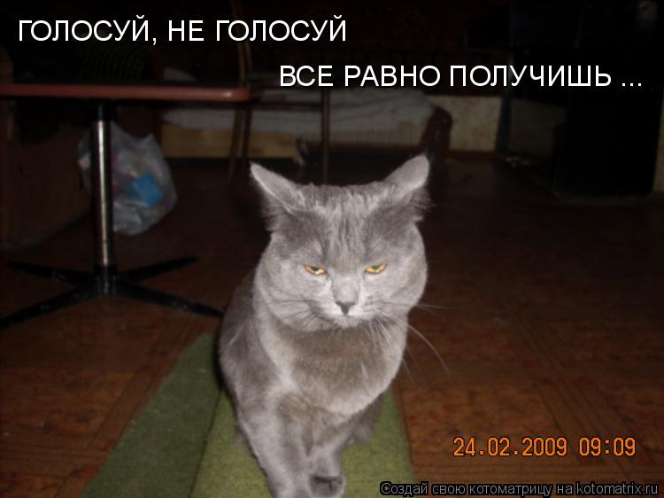 ГОЛОСУЙ, НЕ ГОЛОСУЙ ВСЕ РАВНО ПОЛУЧИШЬ ...... Котоматрица: ГОЛОСУЙ, НЕ ГОЛОСУЙ ВСЕ РАВНО ПОЛУЧИШЬ ...