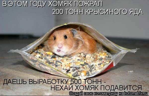 В ЭТОМ ГОДУ ХОМЯК ПОЖРАЛ 200 ТОНН КРЫСИНОГО ЯДА ДАЕШЬ ВЫРАБОТКУ 500 ТОНН - НЕХАЙ ХОМЯК ПОДАВИТСЯ... Котоматрица: В ЭТОМ ГОДУ ХОМЯК ПОЖРАЛ 200 ТОНН КРЫСИНОГО ЯДА ДАЕШЬ ВЫРАБОТКУ 500 ТОНН - НЕХАЙ ХОМЯК ПОДАВИТСЯ