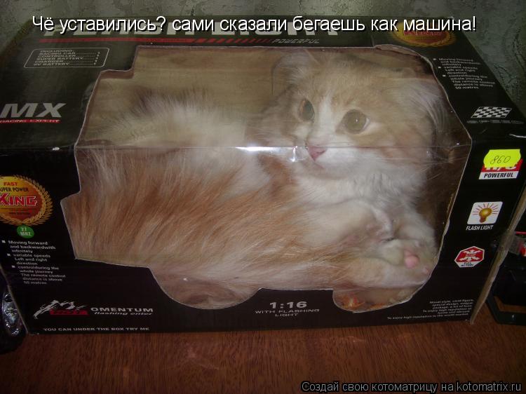 Чё уставились? сами сказали бегаешь как машина!... Котоматрица: Чё уставились? сами сказали бегаешь как машина!