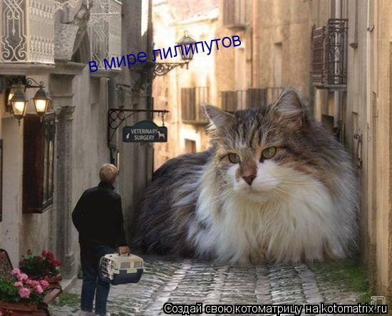 в мире лилипутов... Котоматрица: в мире лилипутов