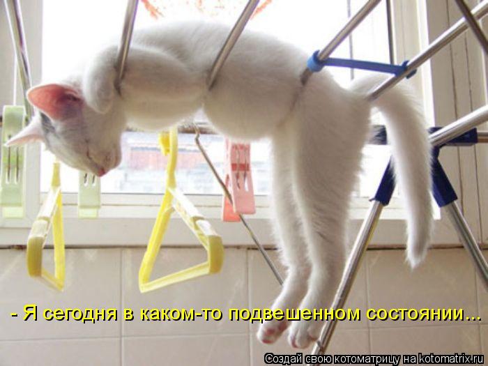 - Я сегодня в каком-то подвешенном состоянии...... Котоматрица: - Я сегодня в каком-то подвешенном состоянии...