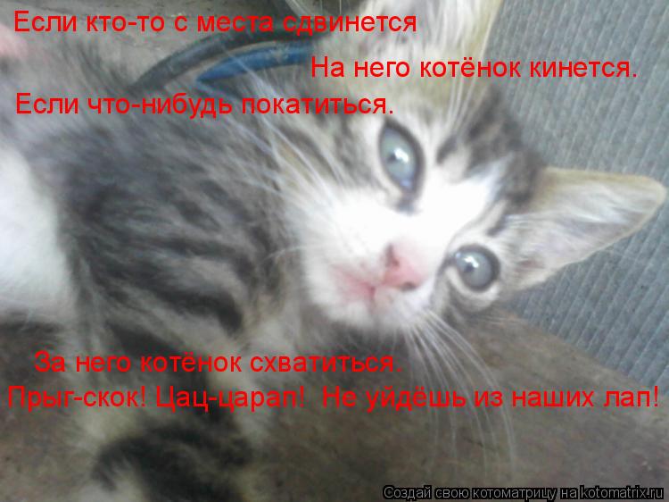 Если кто-то с места сдвинется На него котёнок кинется. Если что-нибудь покатиться. За него котёнок сх... Котоматрица: Если кто-то с места сдвинется На него котёнок кинется. Если что-нибудь покатиться. За него котёнок схватиться. Прыг-скок! Цац-царап! Не уйдёш
