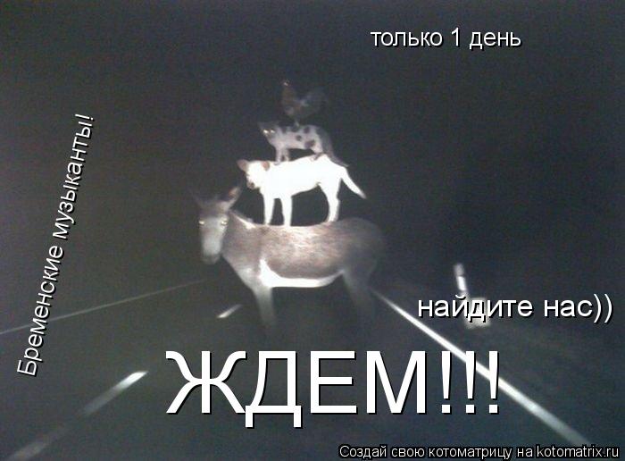 Бременские музыканты! только 1 день ЖДЕМ!!! найдите нас))... Котоматрица: Бременские музыканты! только 1 день ЖДЕМ!!! найдите нас))