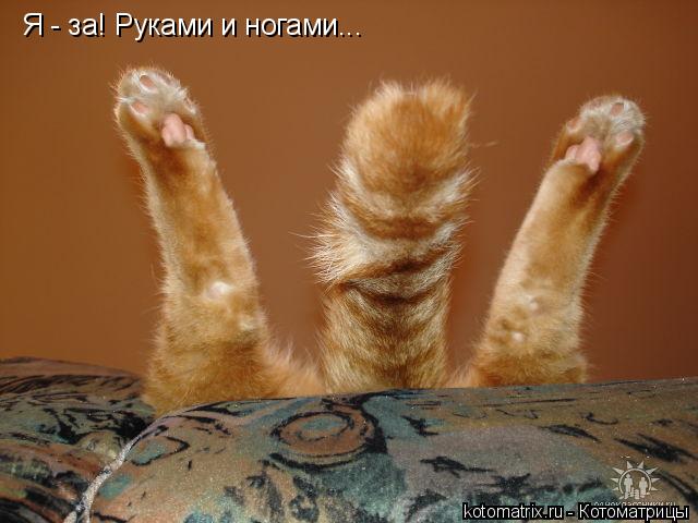 Котоматрица: Я - за! Руками и ногами...