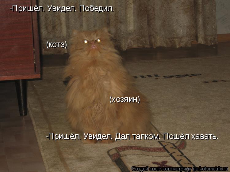 -Пришёл. Увидел. Победил. (хозяин) -Пришёл. Увидел. Дал тапком. Пошёл хавать. (котэ)... Котоматрица: -Пришёл. Увидел. Победил. (хозяин) -Пришёл. Увидел. Дал тапком. Пошёл хавать. (котэ)