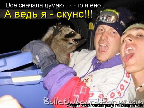 Все сначала думают, - что я енот... А ведь я - скунс!!!... Котоматрица: Все сначала думают, - что я енот... А ведь я - скунс!!!