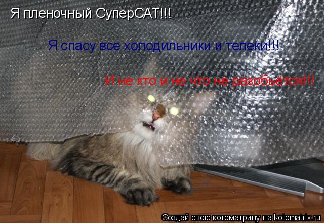 Я пленочный СуперСАТ!!! Я спасу все холодильники и телеки!!! И не кто и не что не разобьётся!!!... Котоматрица: Я пленочный СуперСАТ!!! Я спасу все холодильники и телеки!!! И не кто и не что не разобьётся!!!