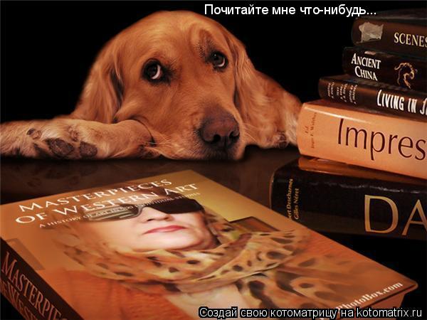 Котоматрица: Почитайте мне что-нибудь...
